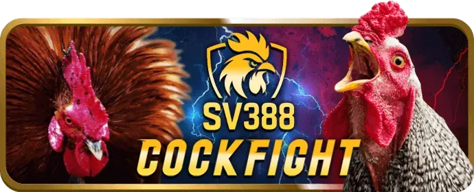 Cấp độ VIP Bạc halo88 win